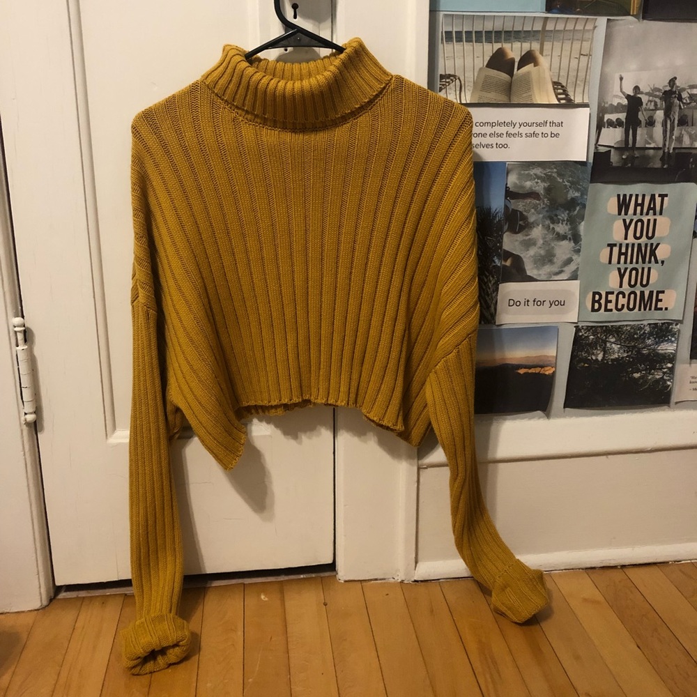 Cropped Turtleneck sweater